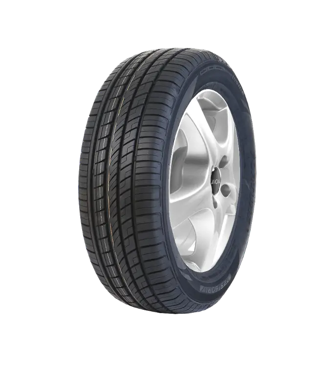 Fortune FSR303 245/45 R19 102 Y