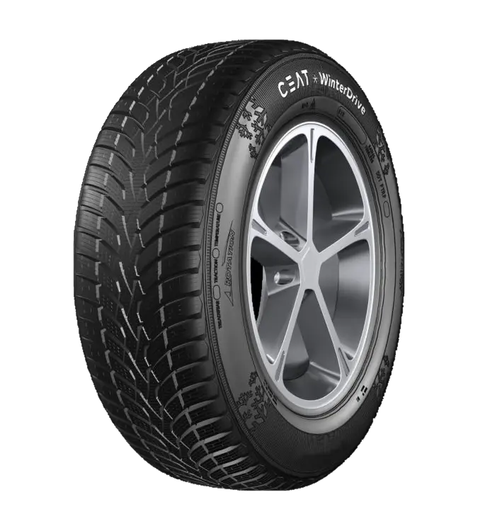 Ceat WinterDrive 205/55 R16 91 H