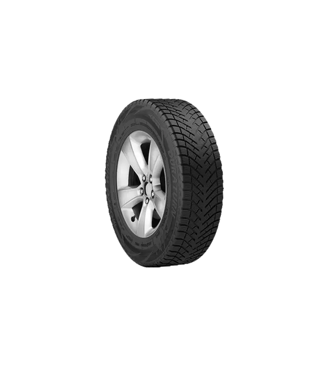Duraturn Mozzo Winter 205/55 R16 91 H