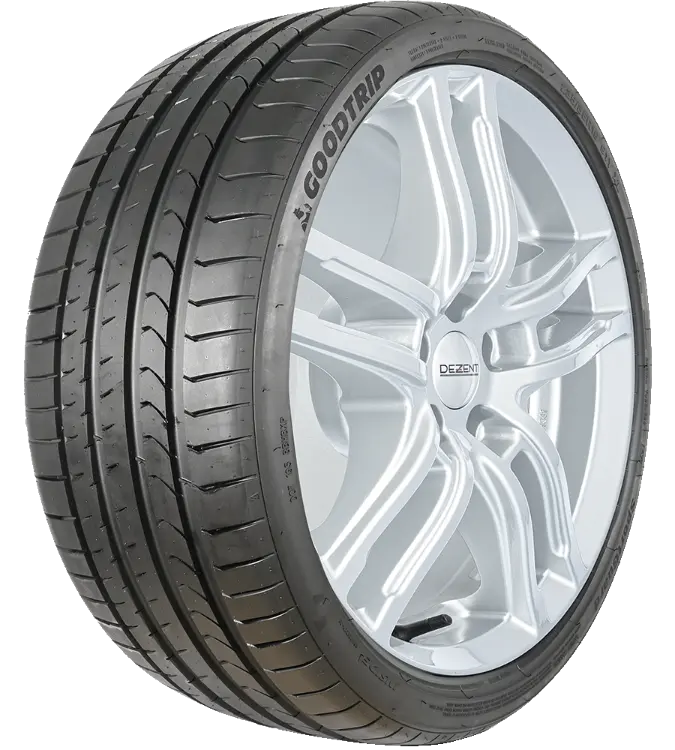 Goodtrip SportGuard 215/55 R18 99 V XL