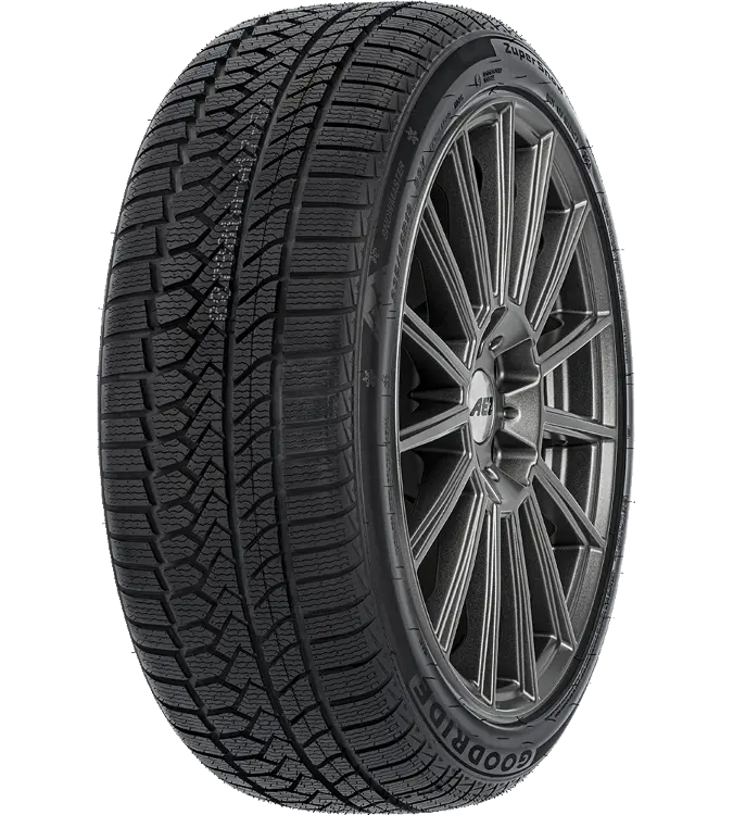 Goodride ZuperSnow Z-507 205/55 R17 95 V XL