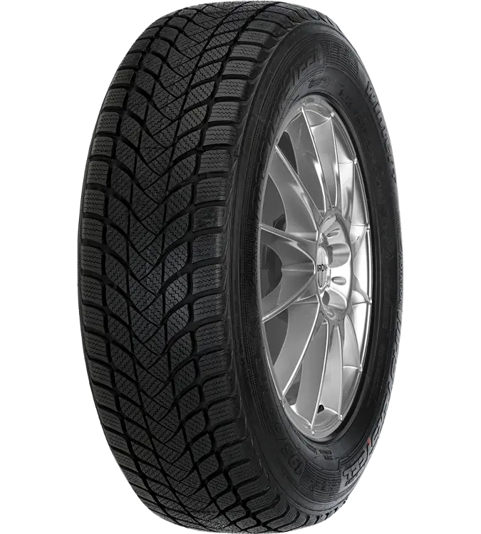 Mastersteel WINTER + W1 225/40 R18 92 H