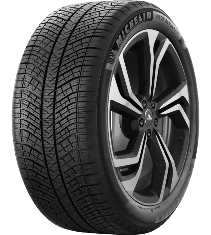 Michelin Pilot Alpin 5 SUV 295/40 R20 110 V XL, MO1
