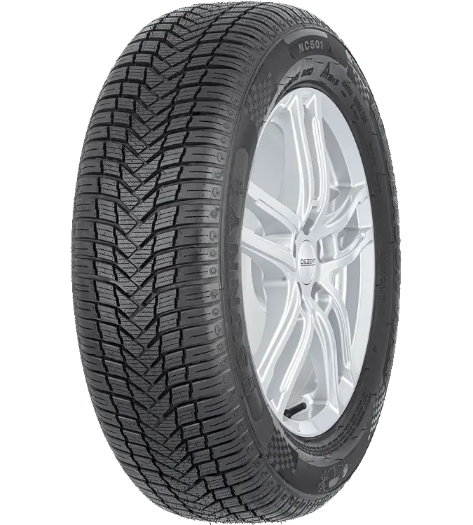 Sunny NC501 205/55 R17 95 W XL