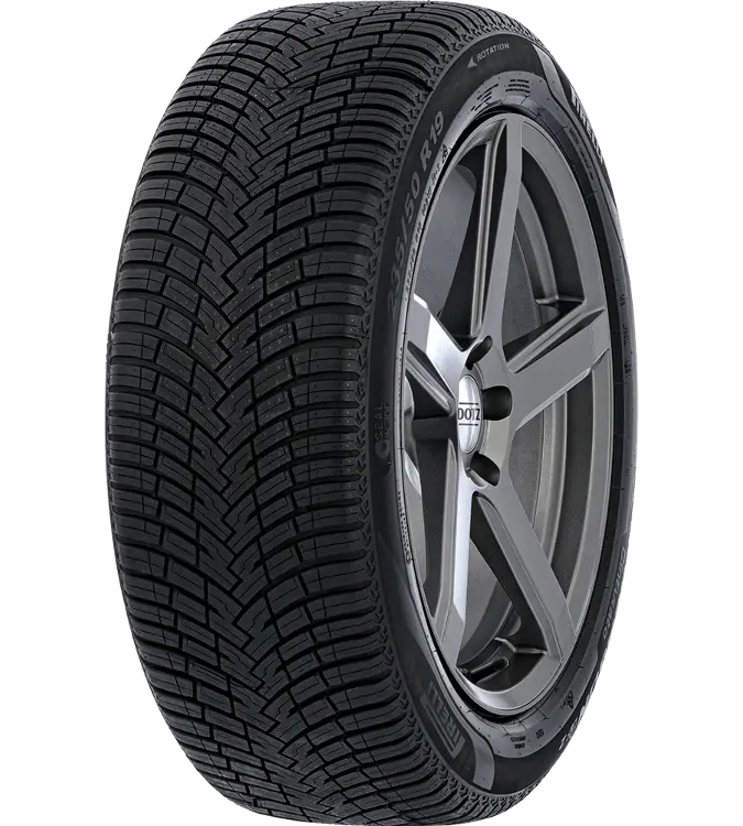 Pirelli Cinturato All Season SF2 255/45 R19 100 T (+), Seal Inside, Elect