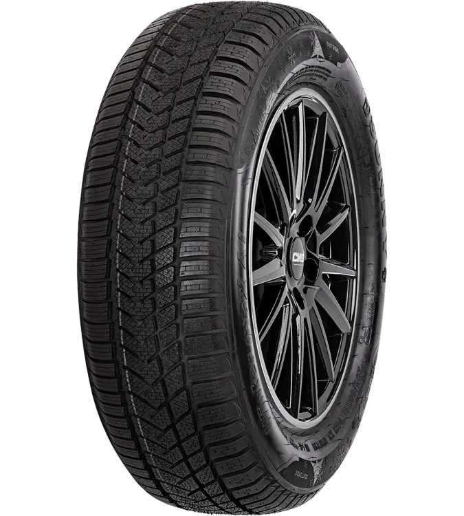 Sunny Wintermaxx NW211 255/40 R19 100 V XL