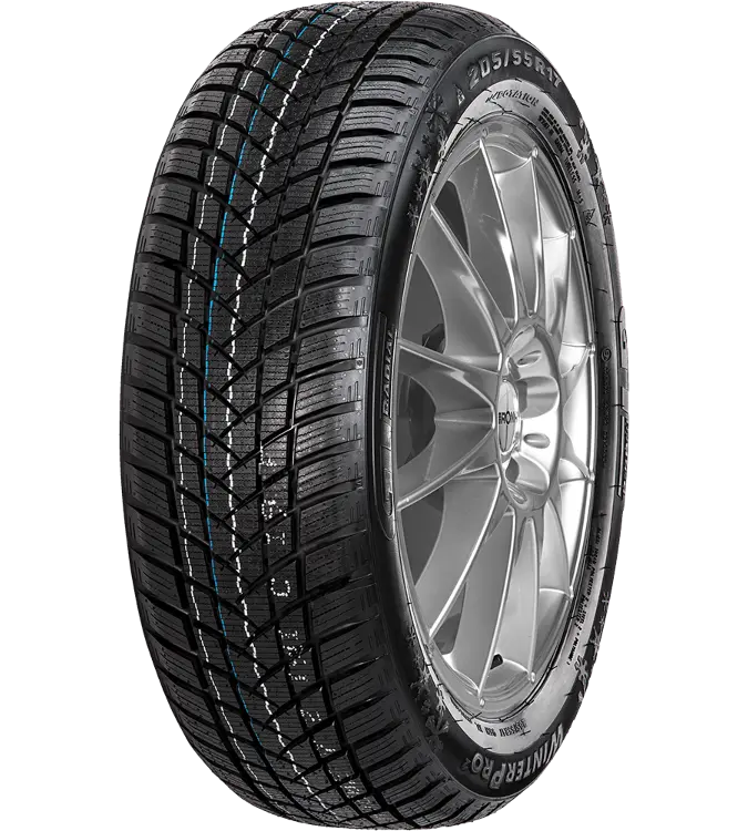 GT Radial WinterPro 2 205/55 R17 95 H XL