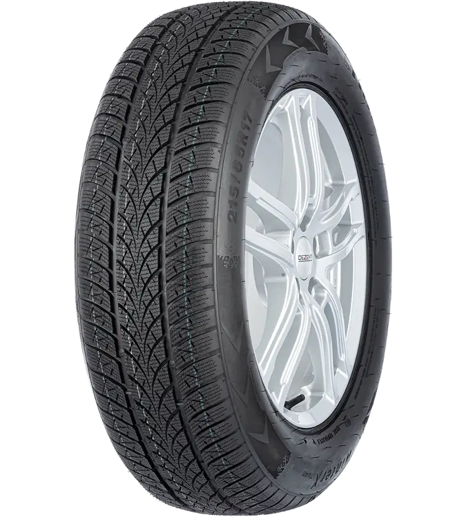 Triangle Winter X TW401 205/60 R16 96 H XL